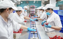 VISSAN chi hơn 530 tỉ đồng dự trữ hàng Tết, tung loạt sản phẩm mới