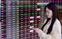 Hơn 400 mã giảm giá, VN-Index vẫn lập đỉnh mới 1.772 điểm