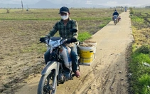 Ruộng đồng thành 'mỏ cát' sau lũ, nông dân mang xô đi gom về để dành