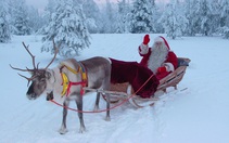Có thật hãng Coca-Cola đã tạo nên trang phục đỏ viền trắng của ông già Noel?