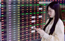 Điều gì khiến hơn 40 quỹ cổ phiếu vẫn lỗ dù VN-Index tăng mạnh?