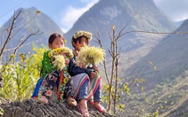 Cao nguyên đá Đồng Văn nhận giải thưởng 'Điểm đến khu vực hàng đầu thế giới'