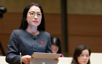 Ủng hộ khung pháp luật khác biệt cho TP.HCM, đại biểu nói phải tạo cơ chế hấp dẫn nhà đầu tư