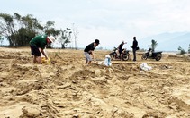 Đất trồng hoa màu ven sông Vu Gia bị bồi lấp sau lũ 1m-1,5m, nông dân rốn lũ Đại Lộc 'khóc nghẹn'