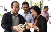 Tết này, người tiêu dùng sẽ thắt chặt mua sắm?