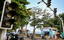 Mất điện toàn quốc ở Sri Lanka chỉ vì một con khỉ