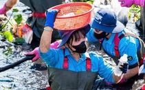 'Điểm mặt' thủ phạm gây ô nhiễm đô thị