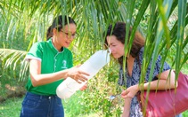 Bán hàng trên sàn tìm hướng đi mới: 'Bán bia kèm lạc', không cạnh tranh bằng giá