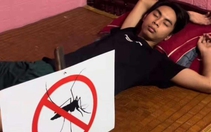 Ảnh vui 15-3: Sợ bị muỗi đốt nhưng không có mùng