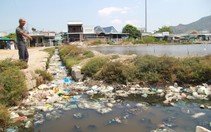 Rác thải ngập tràn, cả cánh đồng muối bốc mùi hôi thối