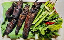 Về miền Tây nướng cá lóc đồng