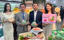 Trái bưởi Việt Nam được bán trong siêu thị ở Hàn Quốc, giá lên tới 2,4 USD/kg