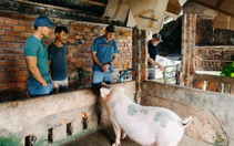Đề xuất ưu đãi thị thực cho giới siêu giàu để thu hút du lịch cao cấp