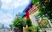Những địa danh thân thương Sài Gòn - TP.HCM - Kỳ 8: Tên cỏ cây hoa lá Sài Gòn xưa vẫn mãi còn