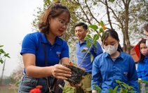 Giới trẻ đưa công nghệ số, sống xanh vào xây dựng nông thôn mới