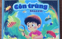 Mẹ bé Bắp khóa Facebook; Bức xúc dơi, chuột và thằn lằn được xếp vào côn trùng trong sách cho trẻ em