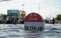 Quốc lộ huyết mạch về miền Tây kẹt cứng vì triều cường gây ngập