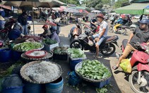 Bà nội trợ lo lắng sau vụ công an bắt 3.500 tấn giá đỗ ngâm hóa chất