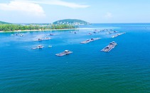 Kiên Giang tính nguồn nguyên vật liệu để làm dự án đón APEC 2027