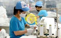 Chuẩn bị tốt cho đàm phán thuế đối ứng với Mỹ