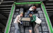 Lạng Sơn bác tin ùn tắc nông sản xuất khẩu tại cửa khẩu