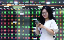 Sếp VinaCapital: Đợt bán tháo này tạo cơ hội mua vào