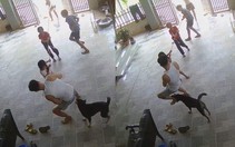 Chú chó chạy lăng xăng báo hại thanh niên kéo co thua