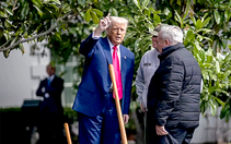 Ông Trump trồng cây tại Nhà Trắng giữa lúc thế giới chao đảo vì thuế quan