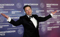Phố Wall rối loạn vì thuế quan, ông Musk nói ‘đừng hoảng’