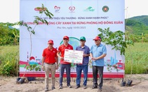 Dai-ichi Life Việt Nam góp trồng hơn 10.000 cây xanh tại rừng phòng hộ Đồng Xuân, Phú Yên