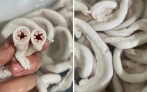 Bé 10 tháng tuổi tử vong, trong máu có nồng độ cồn; lòng se điếu hiếm nhưng bán đầy thị trường
