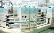 Tập đoàn TH khánh thành nhà máy chế biến sữa tươi sạch công suất hàng đầu Liên bang Nga