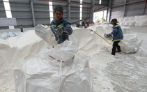 Lâm Đồng xin cơ chế đặc thù sau sáp nhập: Giữ 50% nguồn thu khoáng sản