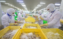 Từ tôm đến gỗ, nhiều doanh nghiệp Việt tăng tốc giao hàng sang Mỹ
