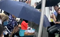 Hà Nội Metro xin lỗi vì khách đi tàu điện Cát Linh - Hà Đông phải che ô vì nước chảy