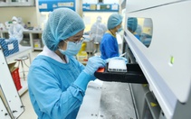 TP.HCM: 83% mẫu giải trình tự gene ca COVID-19 là biến chủng NB.1.8.1