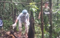 Phát hiện bộ xương trong rừng sâu, nghi của người bị truy nã