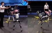 Robot hình người đấu quyền anh như võ sĩ chuyên nghiệp