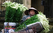 Năm 2025, Việt Nam có 16% dân số là người cao tuổi, 1 người gánh 3-4 bệnh mạn tính
