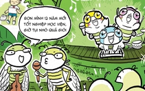 'Lễ trưởng thành' trên những tán cây