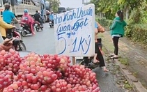 Thử tài tinh mắt: Nho Ninh Thuận giòn ngọt 5.000 đồng/kg