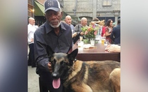 Thông tin diễn viên Morgan Freeman chi 11 triệu USD cứu chó hoang là bịa đặt