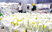 Đừng để phân bón giả, thuốc dỏm làm nông dân hết muốn ra đồng