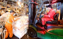 Cần cuộc cách mạng giảm thủ tục, gỡ rào cản kinh doanh