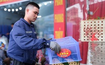 Lương thấp, 73% lao động độc thân ngại cưới, sinh con