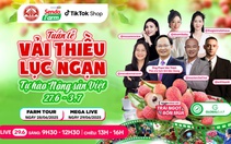 Vải thiều đã chín đỏ trên siêu thị online Sendo Farm