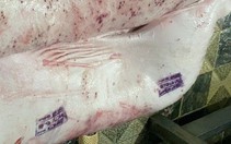 Heo bệnh mà lại đóng dấu 'được đưa ra thị trường' là sai