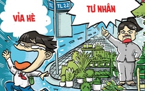 Tưởng là shop bán cây cảnh hóa ra vỉa hè... tư nhân