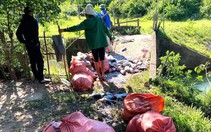 Cá chết la liệt do bị cuốn vào tua bin nhà máy thủy điện