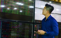 'Cá mập' đang bỏ lỡ cơ hội kiếm tiền từ thị trường chứng khoán?